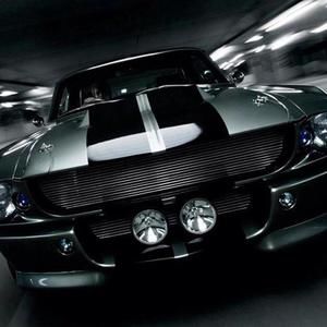 Meet your Posher, Dawson